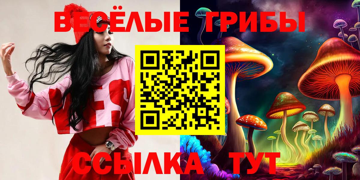 Галлюциногенные грибы GOLDEN TEACHER Котовск